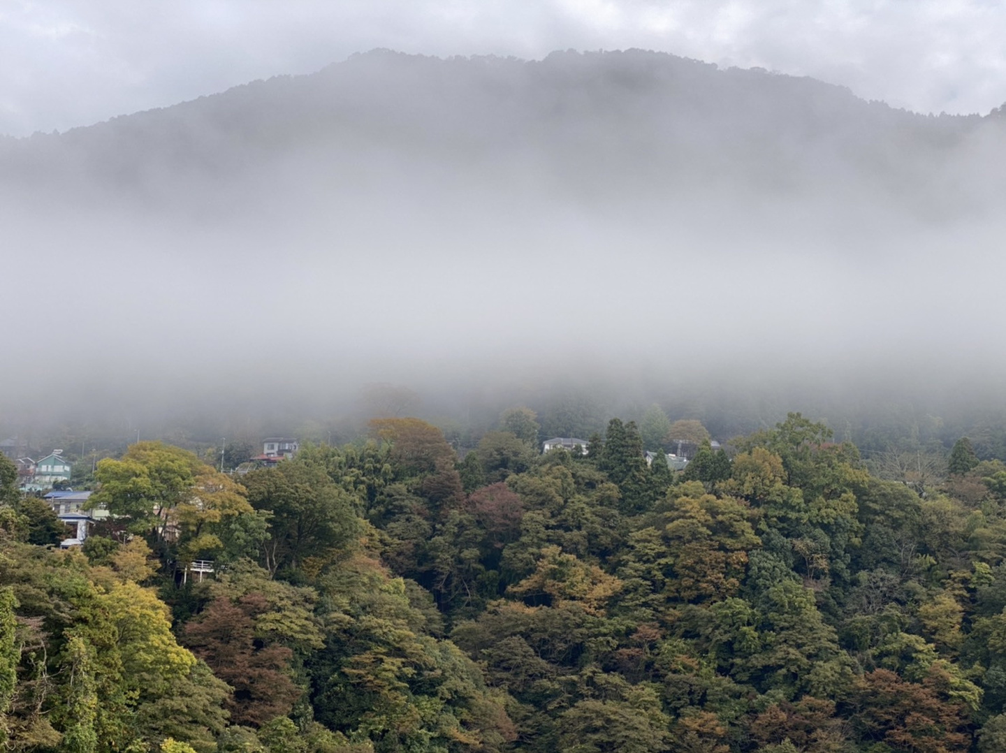 ナカノジュンポートレート撮影相模原