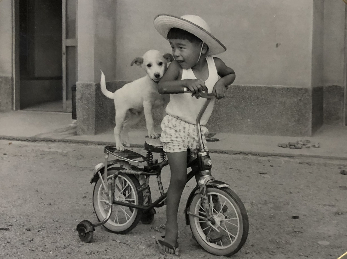 ナカノジュンポートレート撮影相模原
